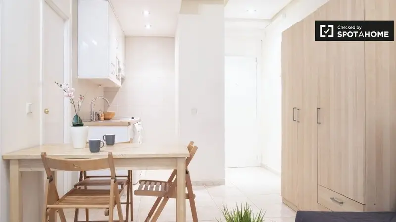 Apartamento en Madrid 1 Dormitorio Alquiler Spotahome