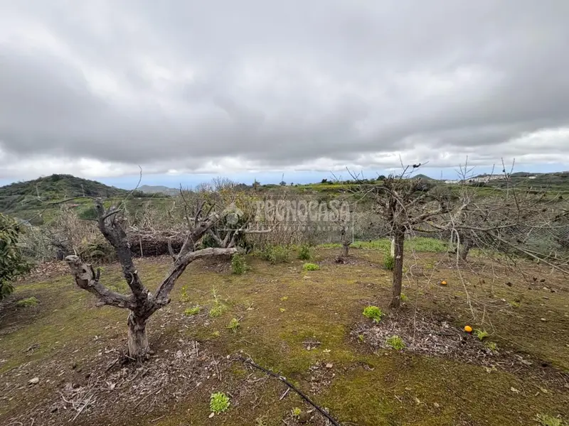 Finca Rustica en Venta Valleseco 1300m2