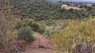 Casa rústica en venta en Almodóvar del Río