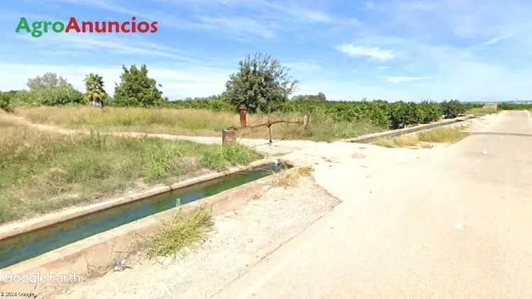 Venta  de Terreno de regadío en la ribera del júcar en Valencia