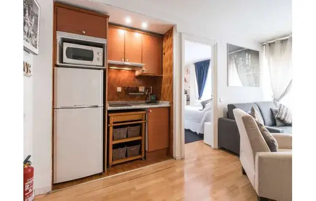 Apartamento 1 Dormitorio Amueblado Goya Madrid