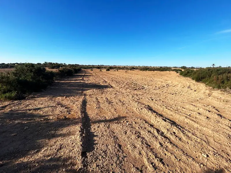 Venta Finca Realengo Crevillent 3809