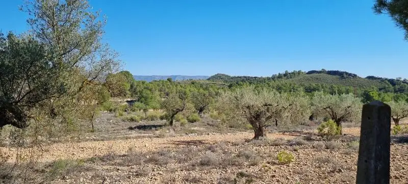 Terreno en Venta Casas del Se

or, Alicante