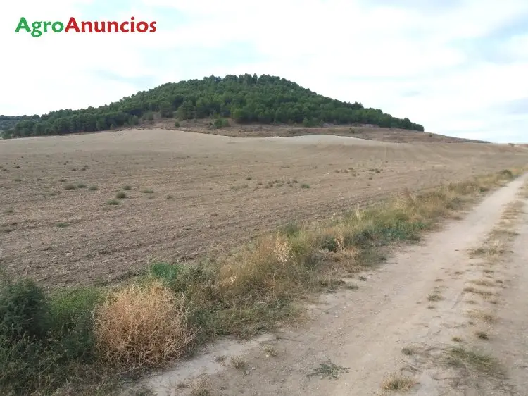 Venta  de Finca rústica en Valladolid