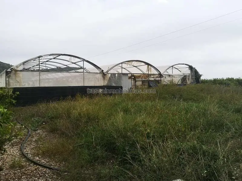 Parcela Rustica en Venta Alcanar - Invernadero 2210m2