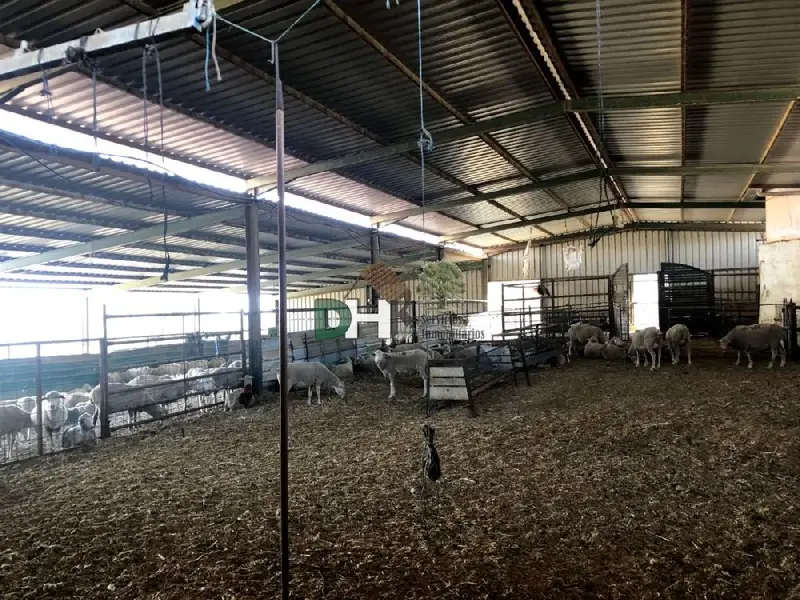Venta Finca Rustica 155 Has Badajoz Cortijo 7 Dorm 3 Baños