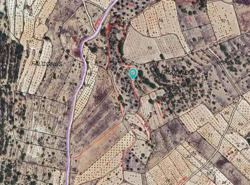 Terreno en Venta Monovar  64796m2 Oportunidad Incomparable