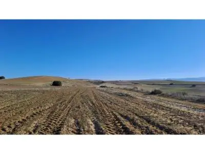 Finca Rustica Venta Alta Rentabilidad 12 Solar