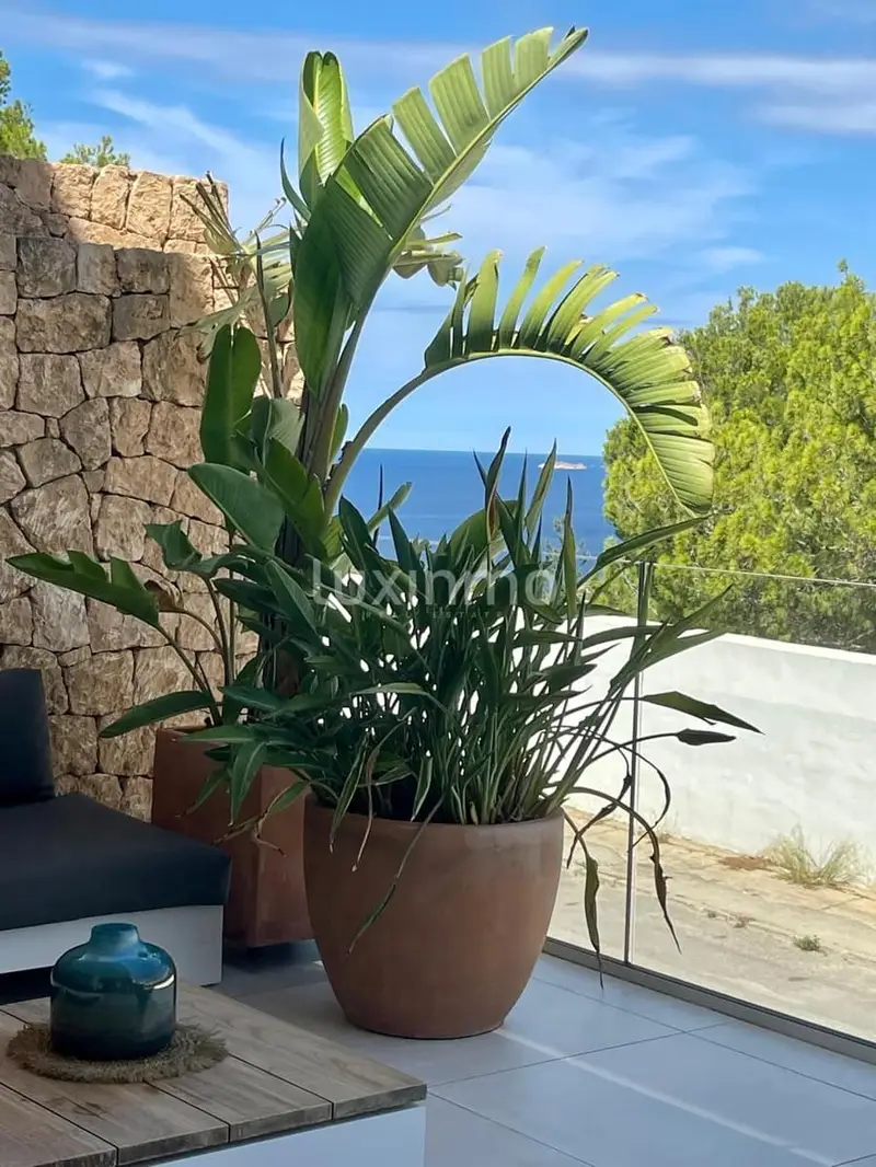 Apartamento en Venta en Ibiza Cala Vadella 2 Dormitorios