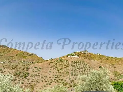 Terreno en Venta Canillas de Albaida 13000m2