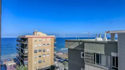 Apartamento en Alquiler Los Arenales del Sol Costa Blanca