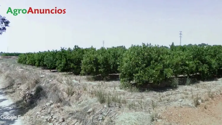 Finca Regadío Valencia Vivienda Rural