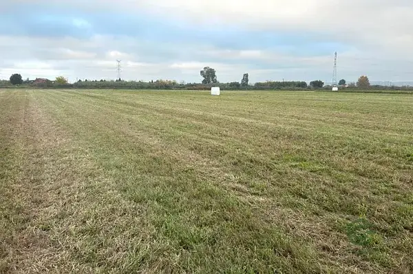 Fincas de Regadio en Cáceres: 115 Hectáreas