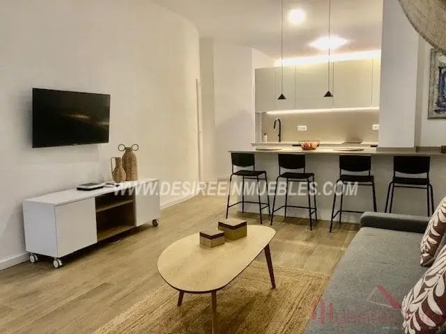 Apartamento en Alquiler Valencia Ciudad Vella 1 Dormitorio Amueblado