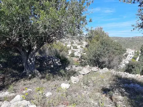 Terreno en Venta Alcalalí: Parcelas para Villa Unifamiliar