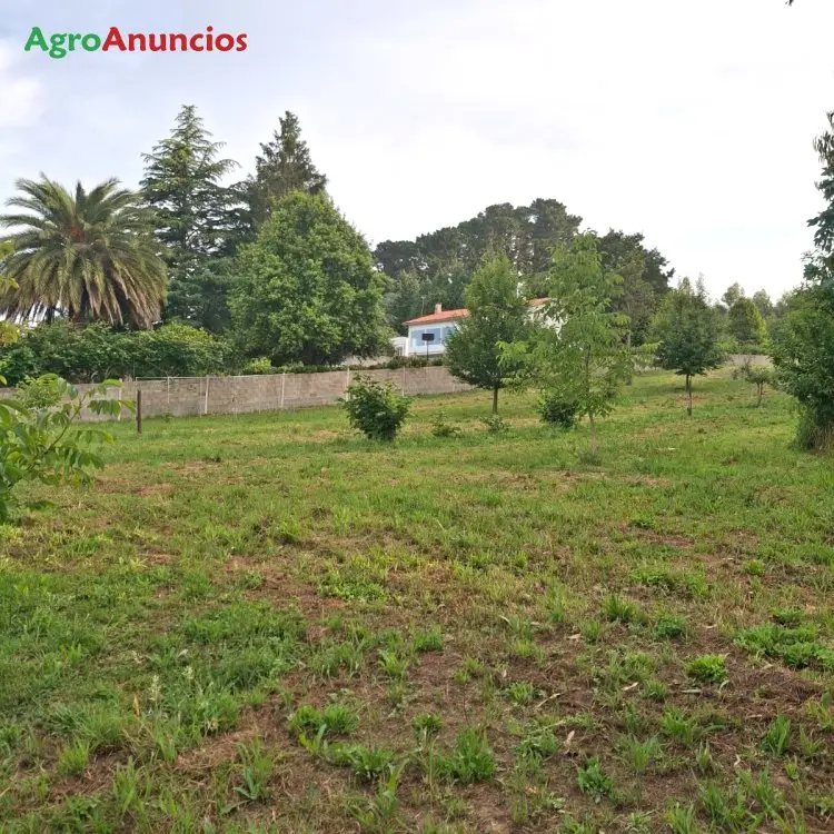 Finca Ocio Agricultura Ares A Coruna 7500m2 Vistas Ria