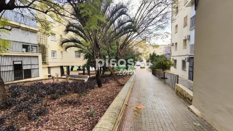 Piso en Venta Oportunidad Inversion Calle El Rancho