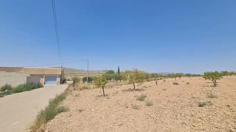 Terreno en venta Canada del Trigo, España