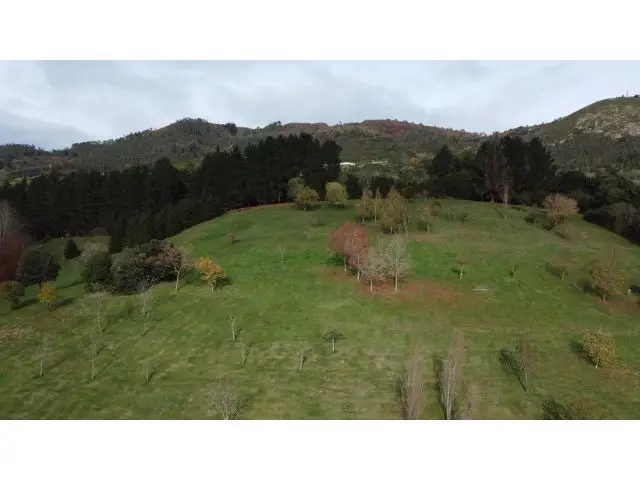 Finca Urbana en Monte Alto Oviedo