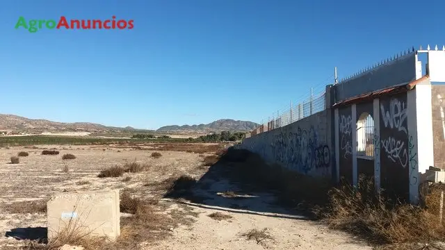 Venta  de Terreno de secano en Murcia