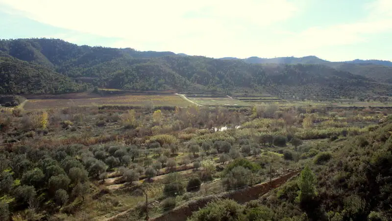 Terreno Rustico en Venta Nonaspe Zaragoza