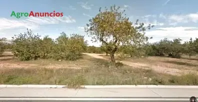 Venta  de Finca para inversión urbanística en Tarragona