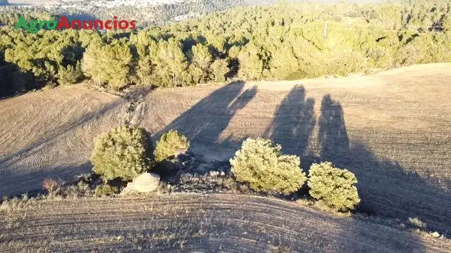 Venta  de Finca agrícola en Barcelona