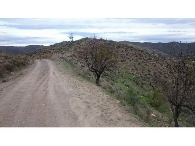 Finca Rustica en Venta en Cantoria