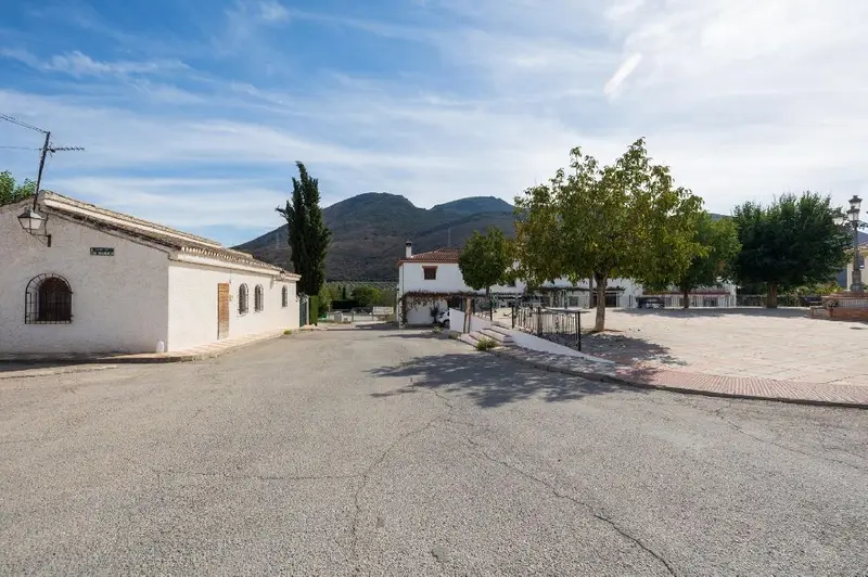 Venta Terreno Caparacena Buenas Vistas 16613m2
