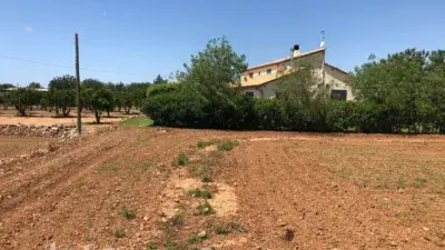Finca Rustica en Venta Roda de Bera 55000m2