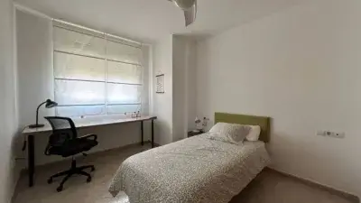 Piso Estudiantes Alicante Cerca Centro UA