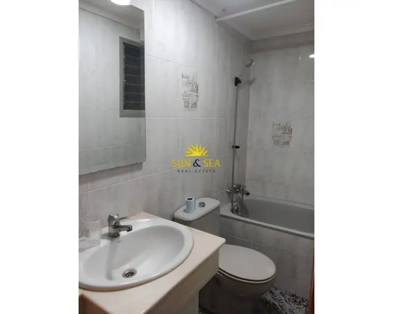 Estudio en Alquiler Elche Centro 60m2 Amueblado