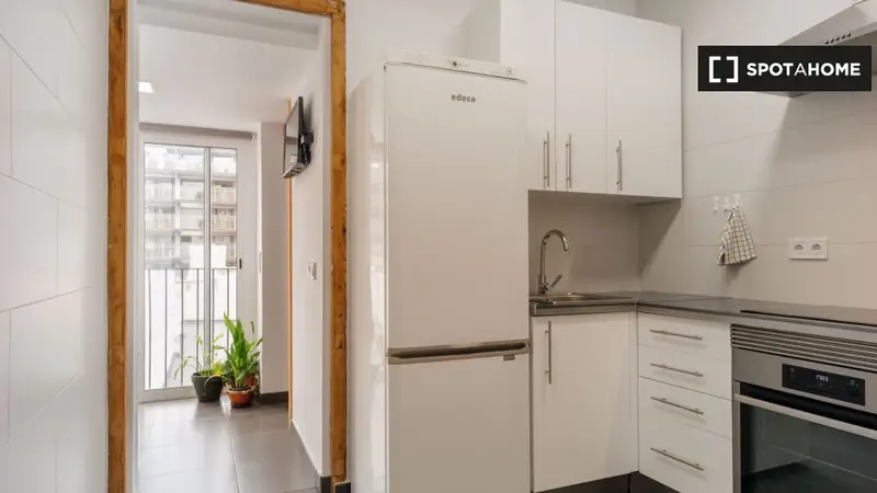 Apartamento 2 Dormitorios Barcelona Equipado