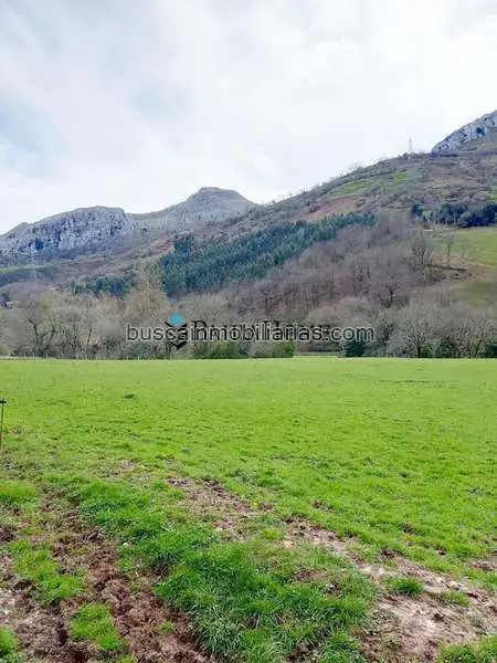 Parcela Rustica en Venta en Lierganes