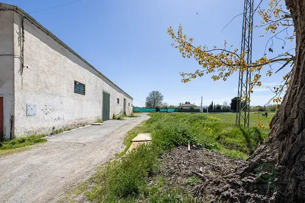 Casa Cortijo Urbana en Granada 470ha con Naves Agrícolas