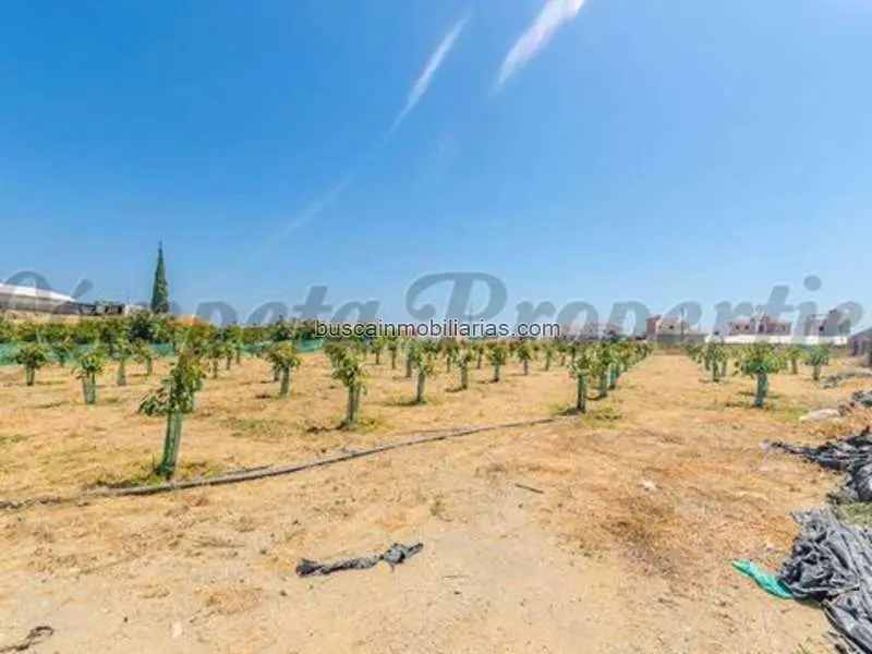 Parcela en Venta Algarrobo - Restaurante Cerca de la Playa