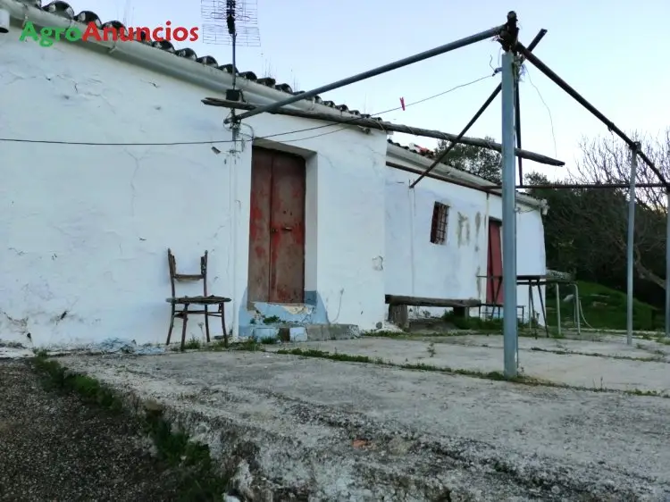 Venta  de Finca de recreo en Málaga