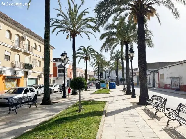 Suelo Residencial La Palma 1740m2 Viviendas Unifamiliares Plurifamiliares