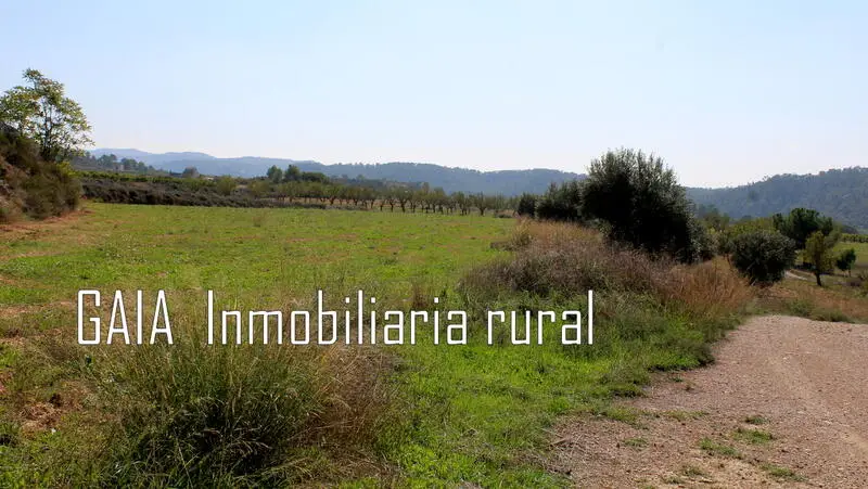 Finca Rustica con Mas para Reconstruir en Batea Tarragona