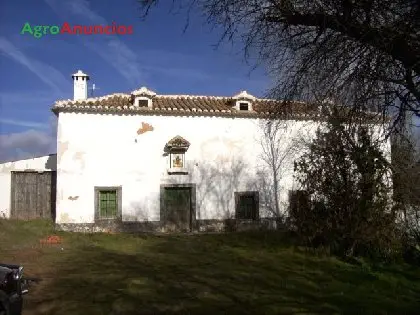 Venta  de Finca mixta de labor y monte en Ciudad Real