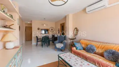Apartamento en Alcossebre Planta Baja cerca de la Playa