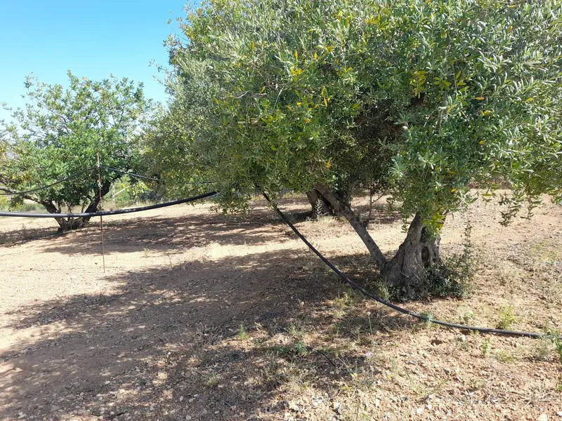 Finca Rustica en Valls con Piscina
