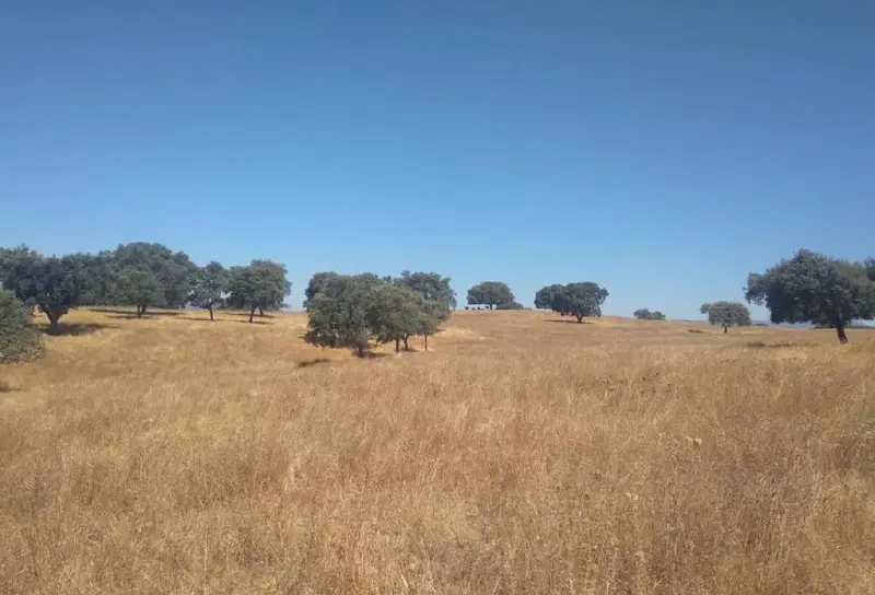 Venta Finca Rustica con Garaje en Badajoz