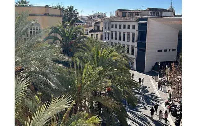 Alquiler Habitaciones Granada Centro Piso Compartido