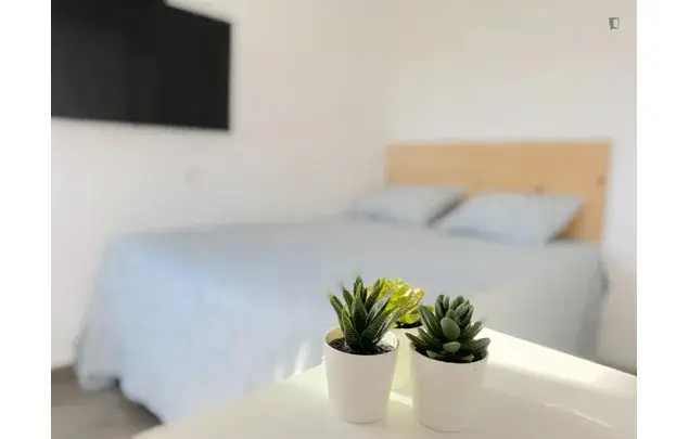 Alquiler Apartamento 4 Dormitorios Sevilla Centro Estudiantes