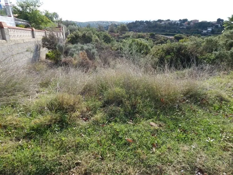 Venta Terreno Montesa 1500m2 Colonia Blanca