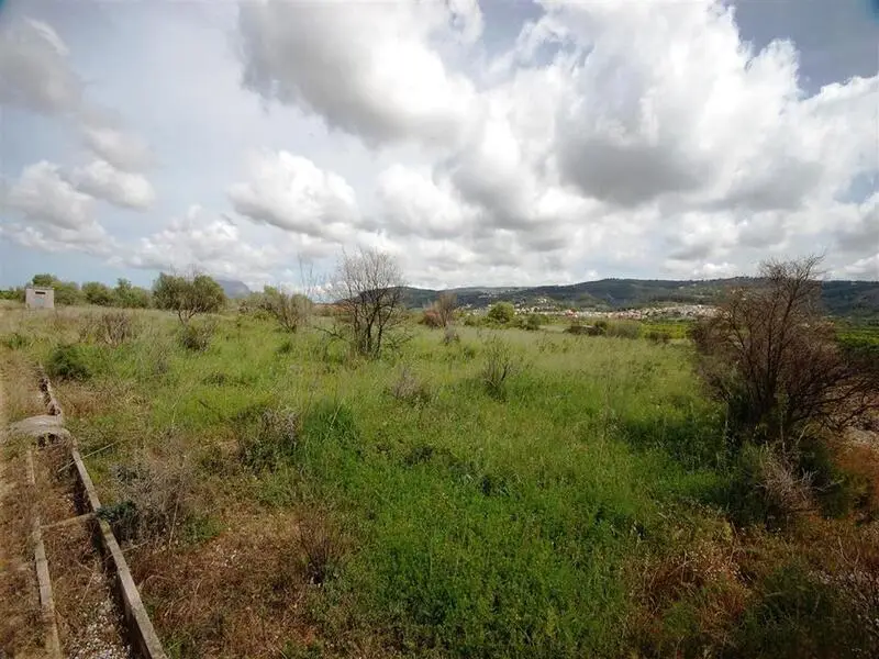 Terreno en Venta Benidoleig Gran Parcela Plana