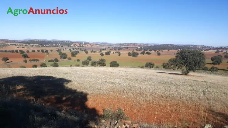 Venta  de Finca rústica de labor y monte en Ciudad Real