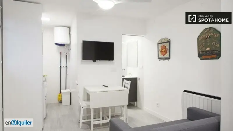 Estudio en Lavapiés Madrid: Amueblado y céntrico