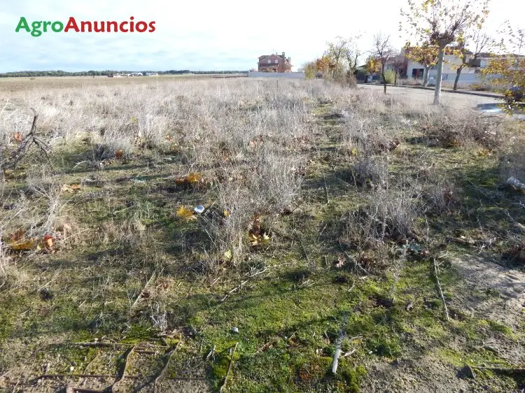 Venta  de Fincas urbanizables en Segovia